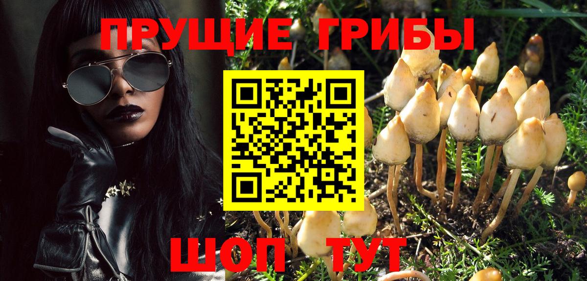 Псилоцибиновые грибы прущие грибы  Псилоцибиновые грибы GOLDEN TEACHER  Вход с VPN  Миасс 